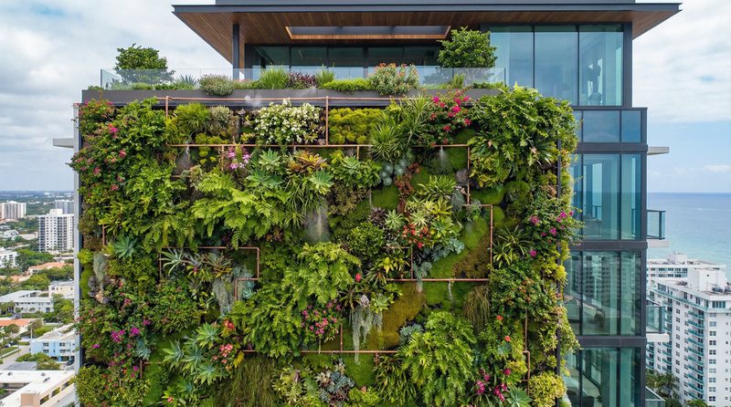 抖阴植物视频 - 垂直花园建造全记录